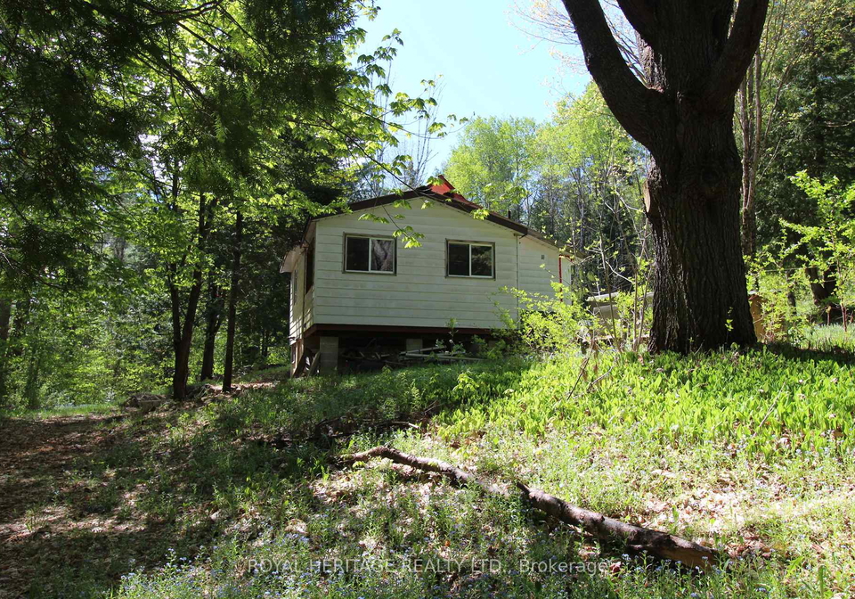 1059-tortoise-drive-highlands-east-ontario-x12168331