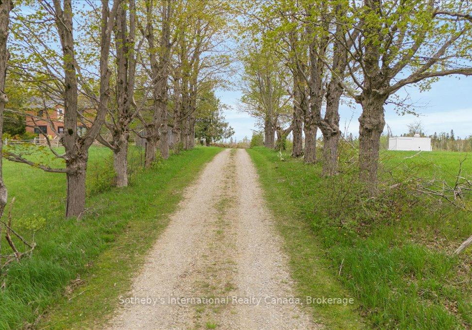 429639-8th-concession-b-grey-highlands-ontario-x12168685