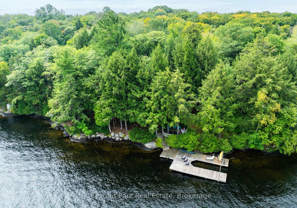 1029-ham-road-muskoka-lakes-ontario-x12171935