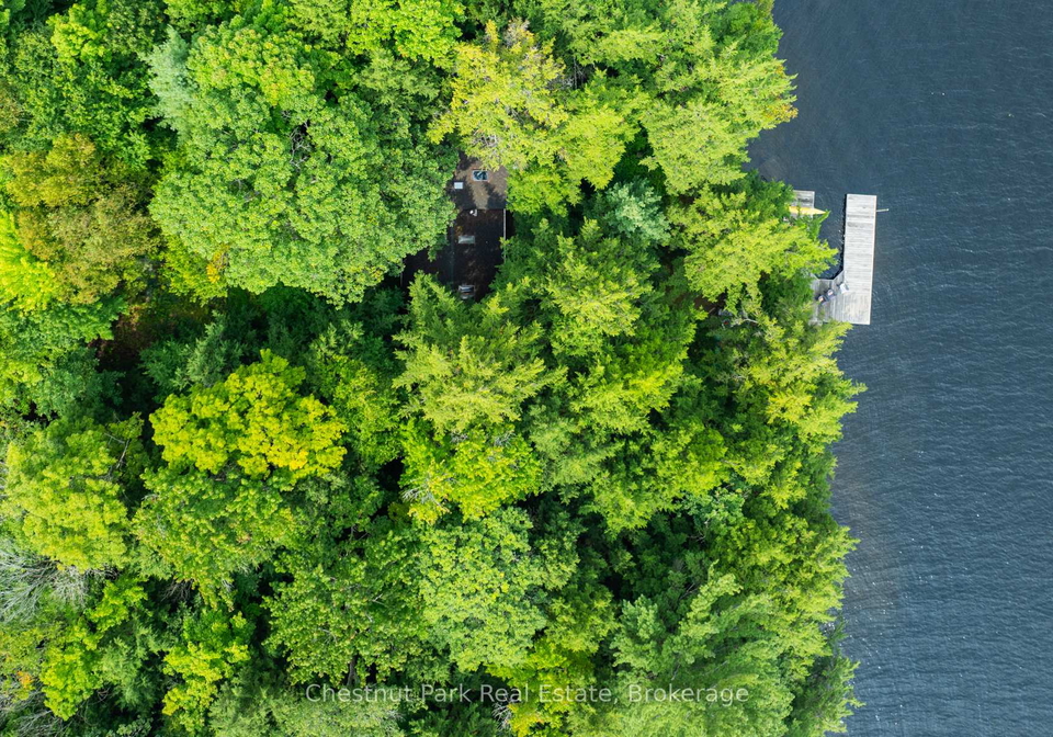 1029-ham-road-muskoka-lakes-ontario-x12171935