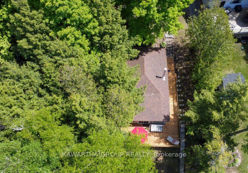44-birch-glen-drive-kawartha-lakes-ontario-x12173096