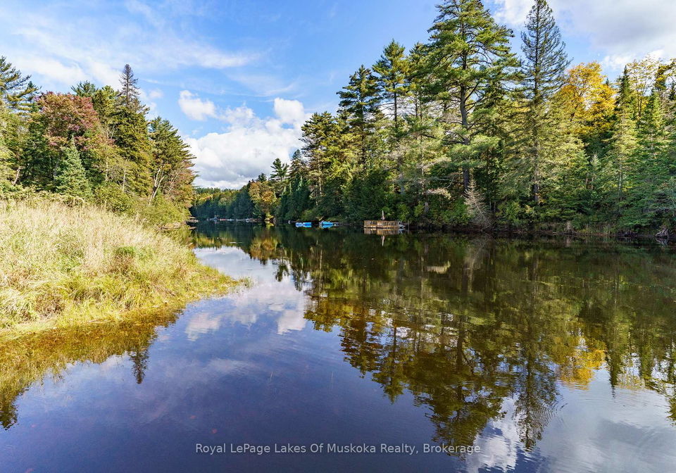 195-river-valley-drive-huntsville-ontario-x12175066