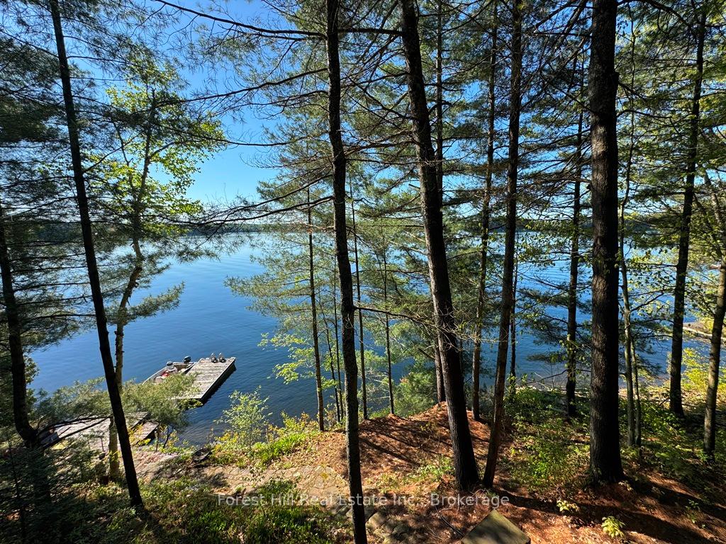10789-moorlands-bay-wao-algonquin-highlands-ontario-x12176840