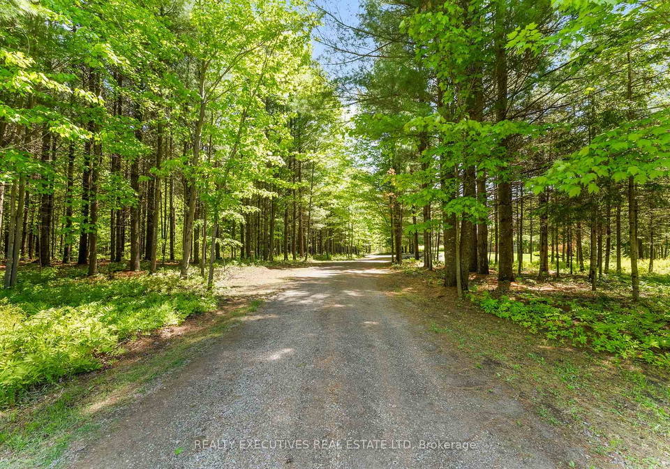 10650-irish-headline-road-south-dundas-ontario-x12177444