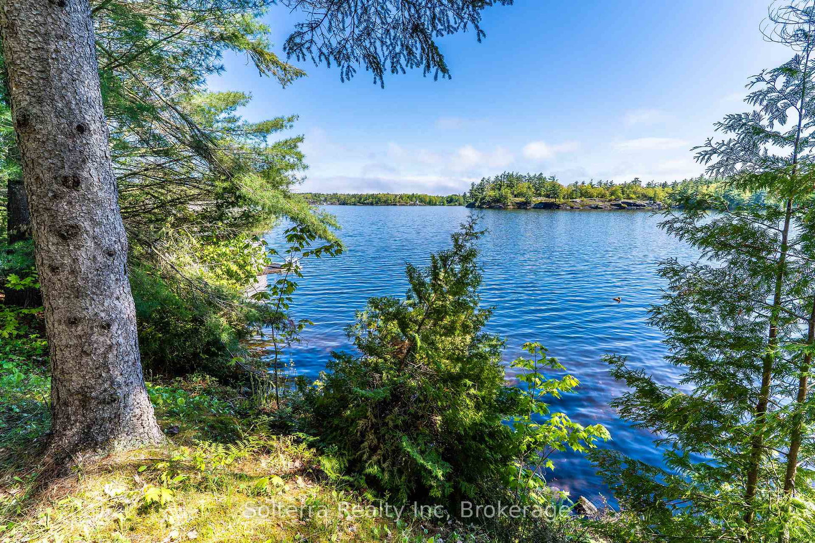 1185-parkers-point-road-e-gravenhurst-ontario-x12177755