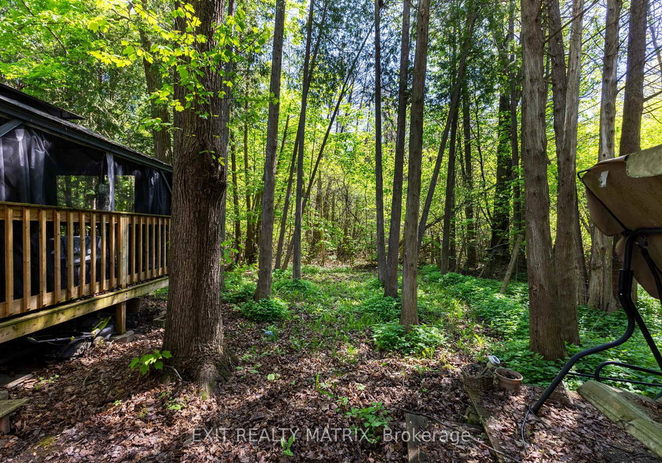 7962-parkway-road-ottawa-ontario-x12181662