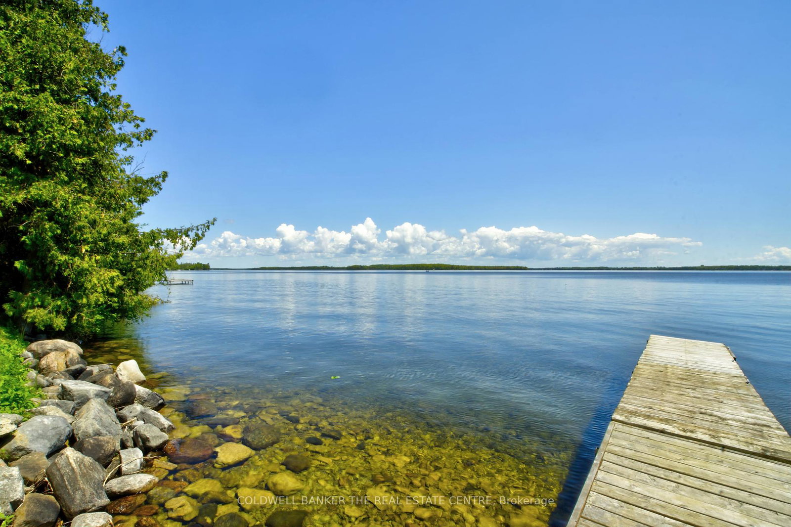 17-ebony-street-kawartha-lakes-ontario-x12183601