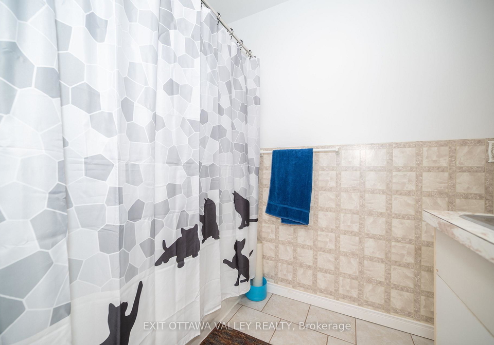 1215-burns-drive-laurentian-valley-ontario-x12184597