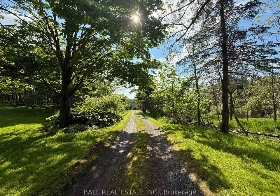 94-west-street-douro-dummer-ontario-x12184599