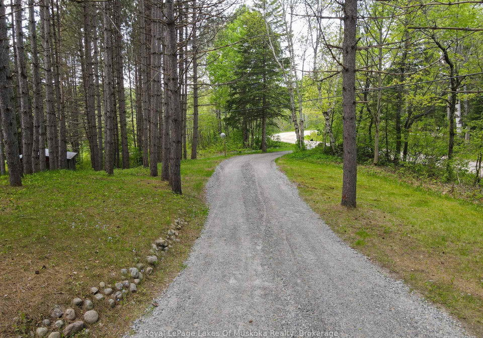226-owl-lake-road-armour-ontario-x12188122