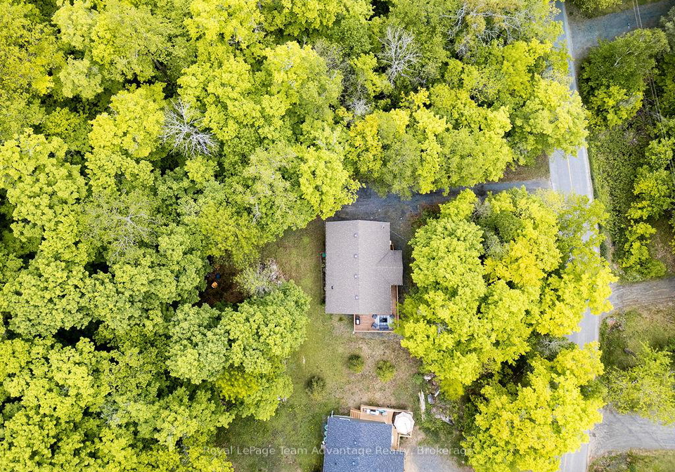 14-beaver-trail-mcdougall-ontario-x12188508