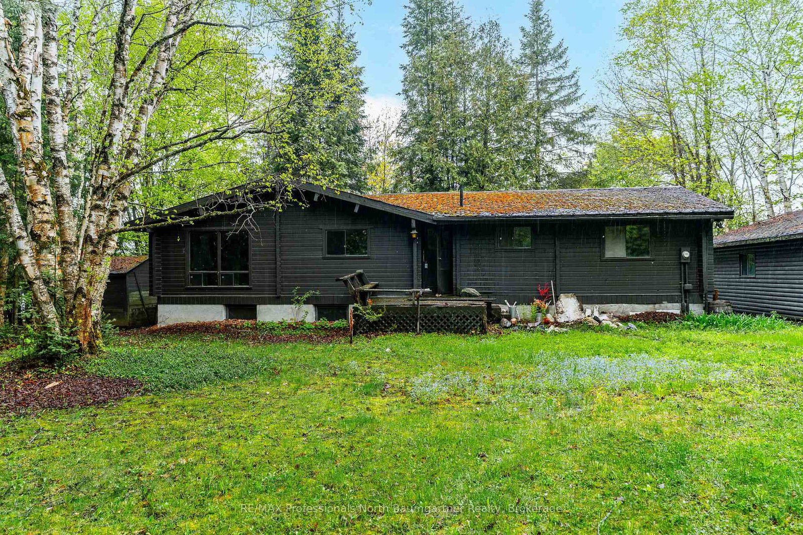 1078-pennycook-lane-minden-hills-ontario-x12189323