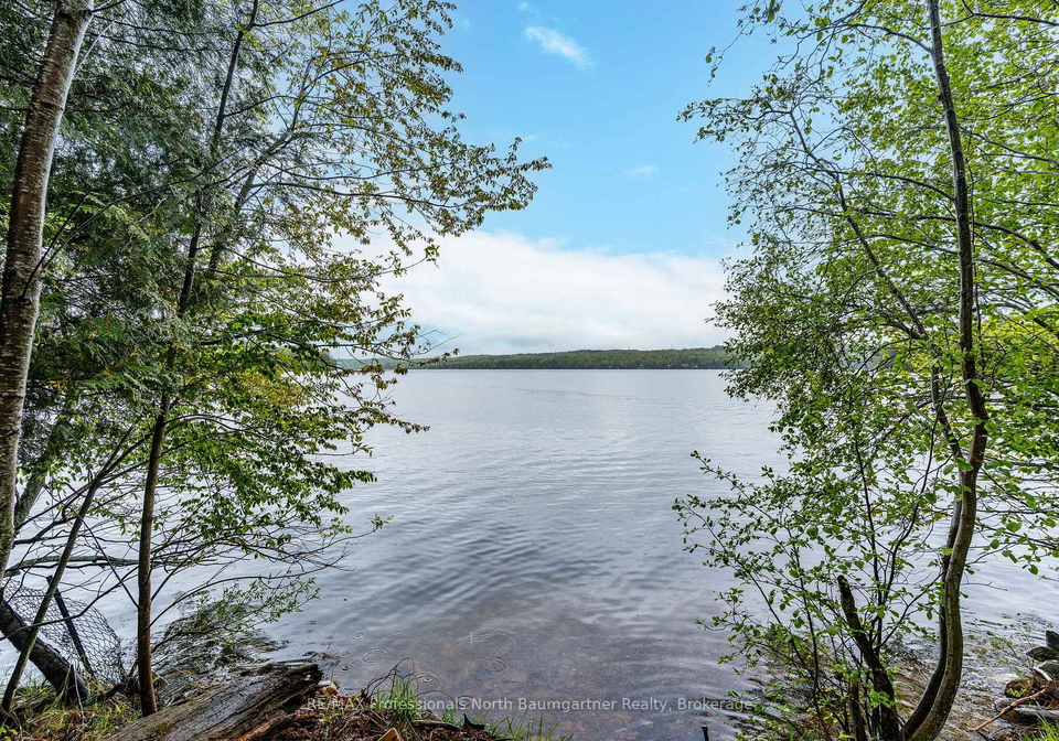 1078-pennycook-lane-minden-hills-ontario-x12189323