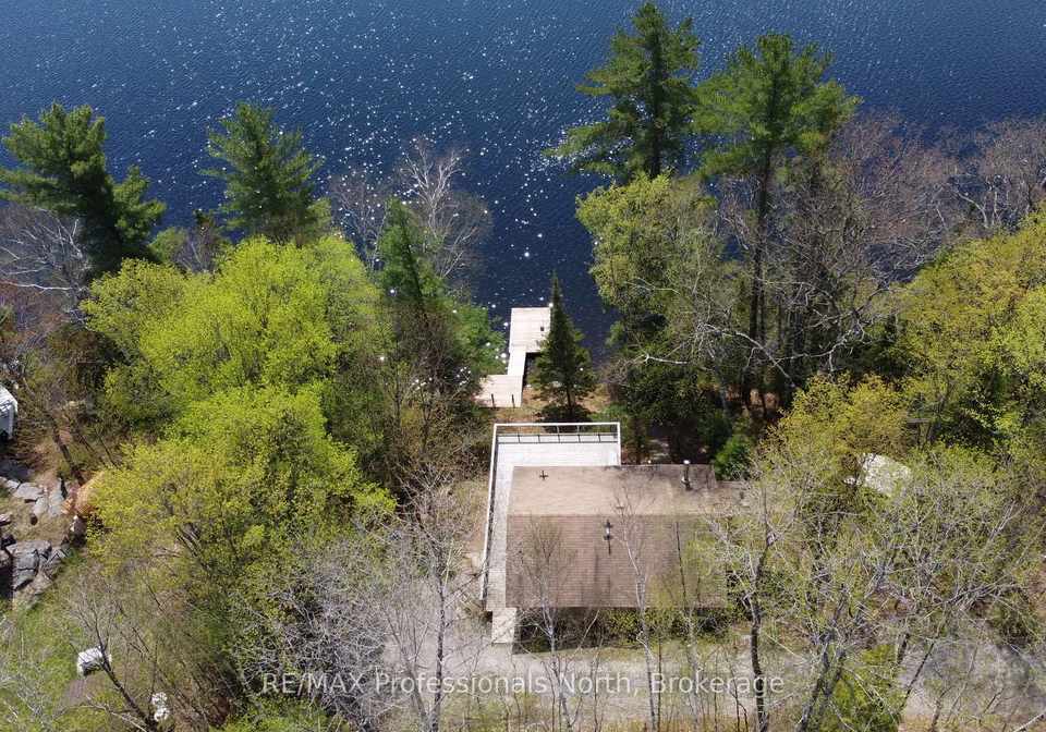 1196-portage-road-dysart-et-al-ontario-x12189325