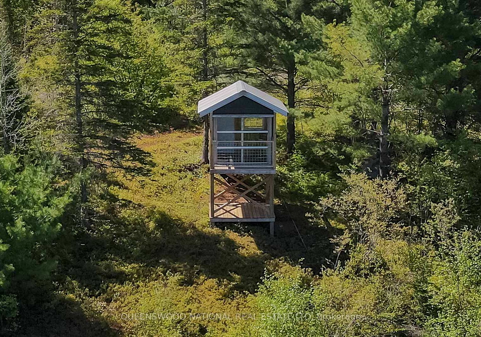1315-major-lake-road-south-algonquin-ontario-x12190271
