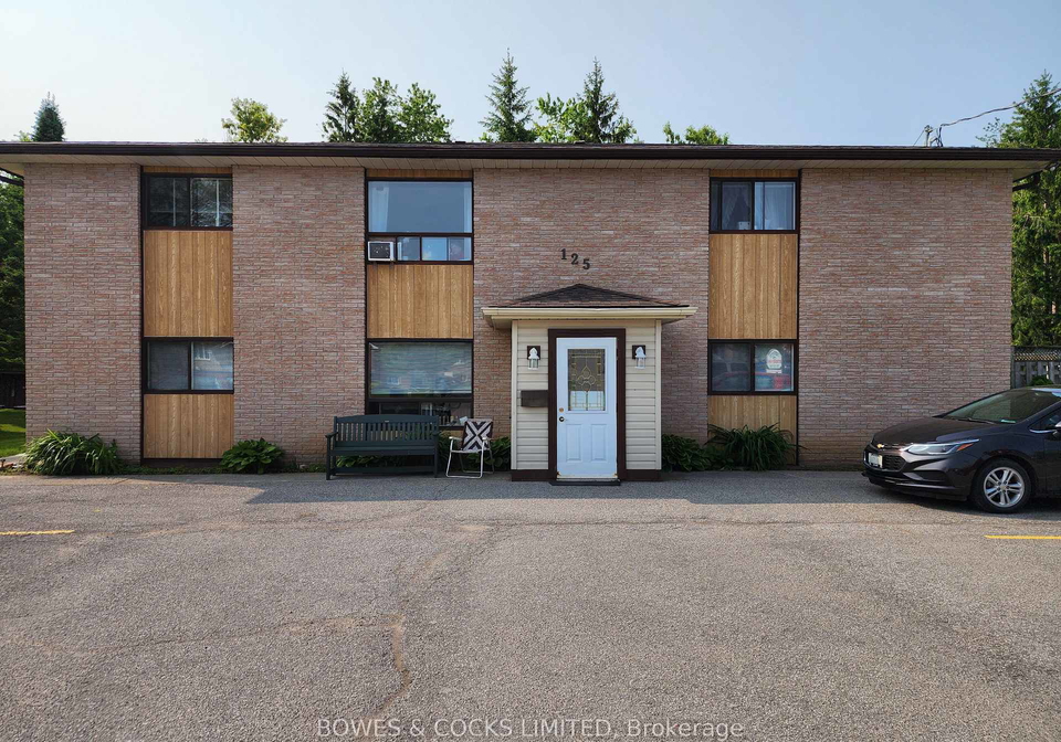 125-mary-street-w-kawartha-lakes-ontario-x12193728