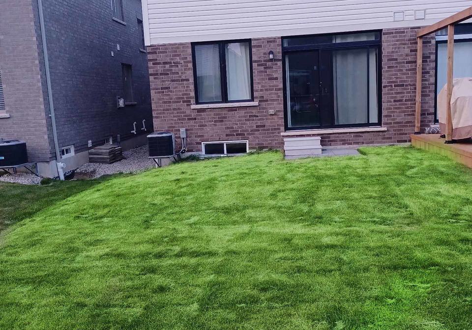234-elliot-avenue-w-centre-wellington-ontario-x12194203