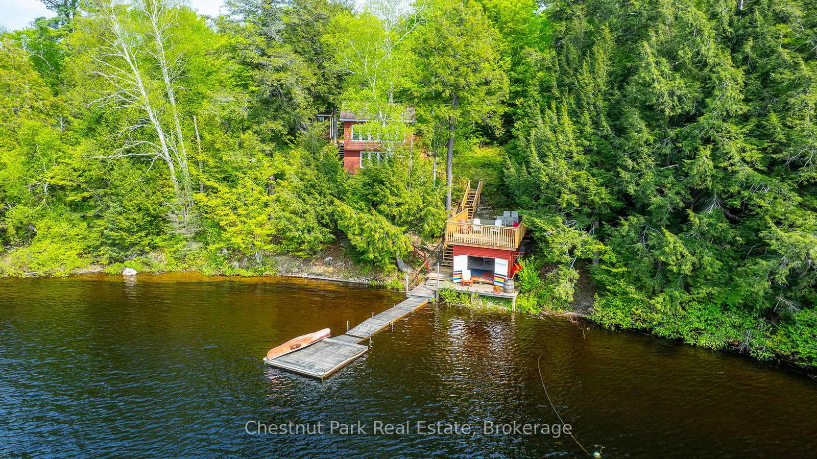 1089-thumb-creek-trail-algonquin-highlands-ontario-x12194407