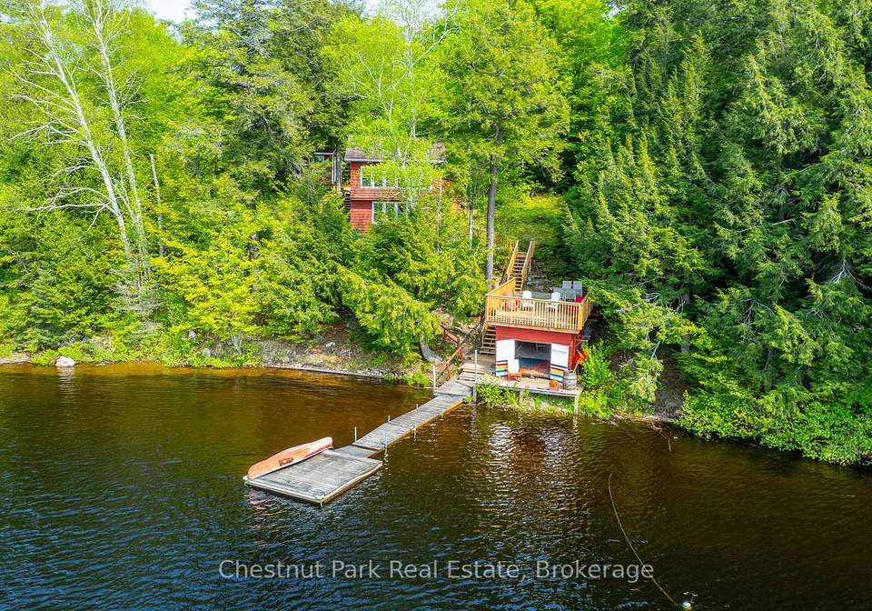 1089-thumb-creek-trail-algonquin-highlands-ontario-x12194407