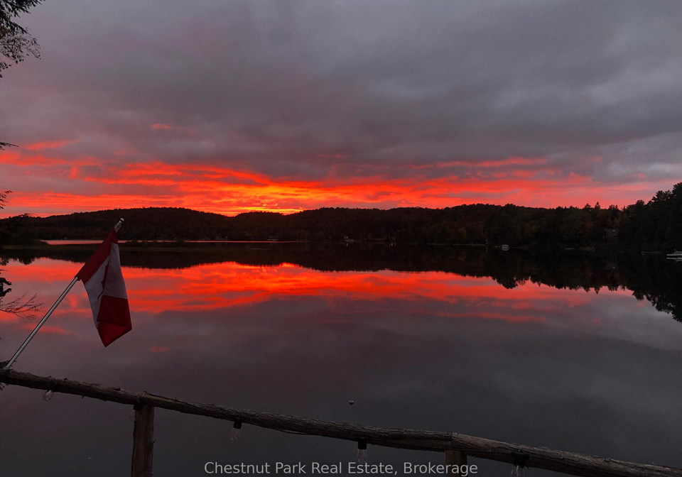 1089-thumb-creek-trail-algonquin-highlands-ontario-x12194407