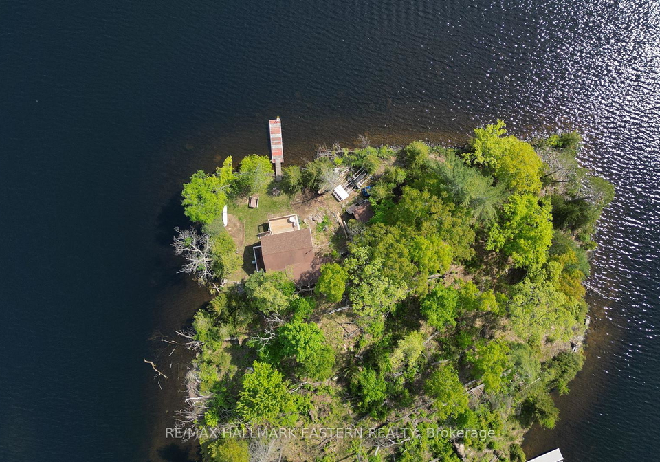 280-big-island-havelock-belmont-methuen-ontario-x12194435