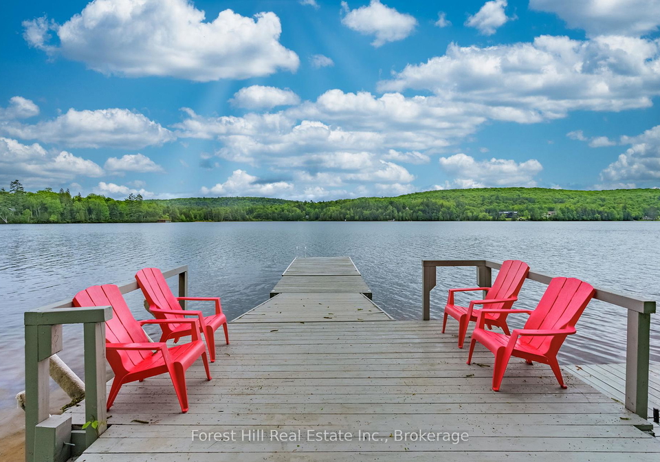 1024-kawagama-lake-road-algonquin-highlands-ontario-x12195137