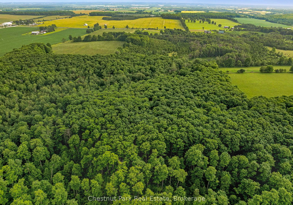 468147-12th-concession-b-grey-highlands-ontario-x12197965