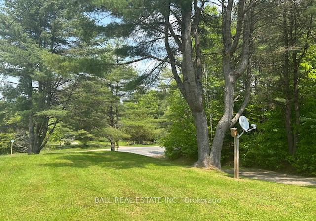 1608-eagle-lake-road-dysart-et-al-ontario-x12198986