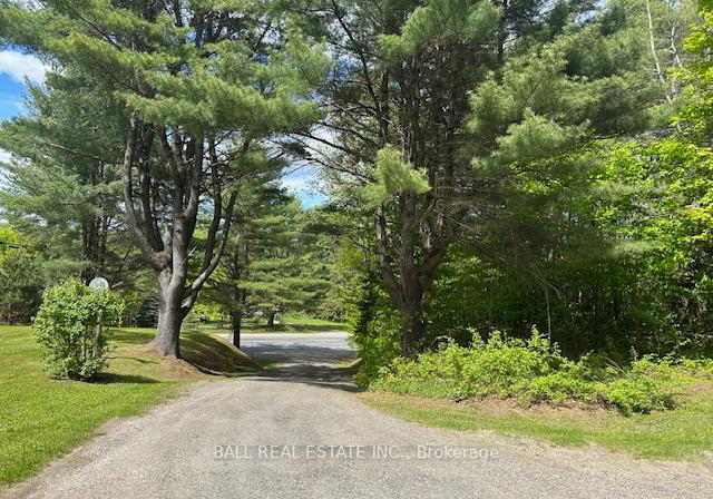 1608-eagle-lake-road-dysart-et-al-ontario-x12198986