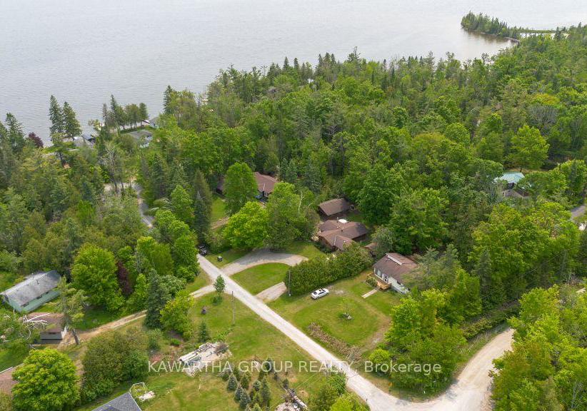 92-laidlaw-drive-kawartha-lakes-ontario-x12202671