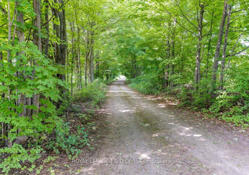 198-puslinch-town-line-hamilton-ontario-x12203278