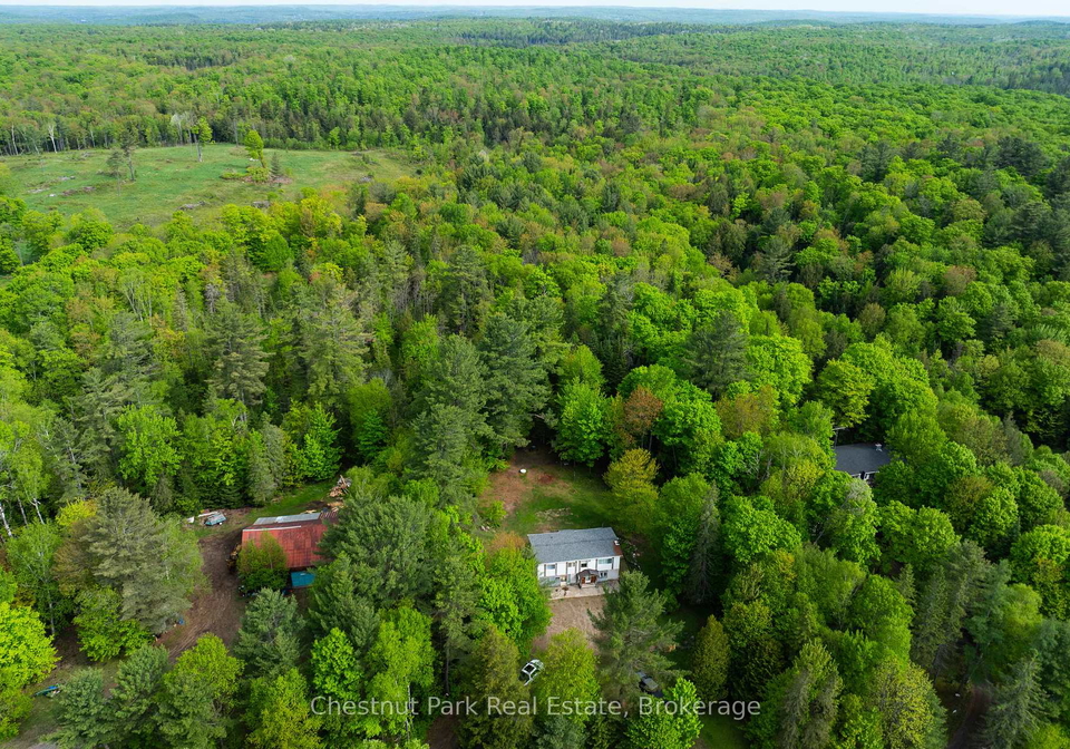 554-britannia-road-huntsville-ontario-x12204415