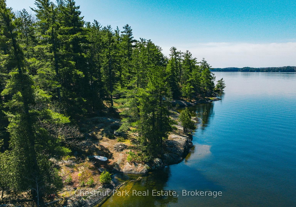 257-tobin-island-muskoka-lakes-ontario-x12205893