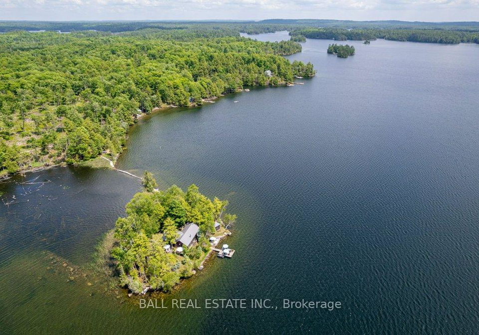 40-fire-route-89e-north-kawartha-ontario-x12207583