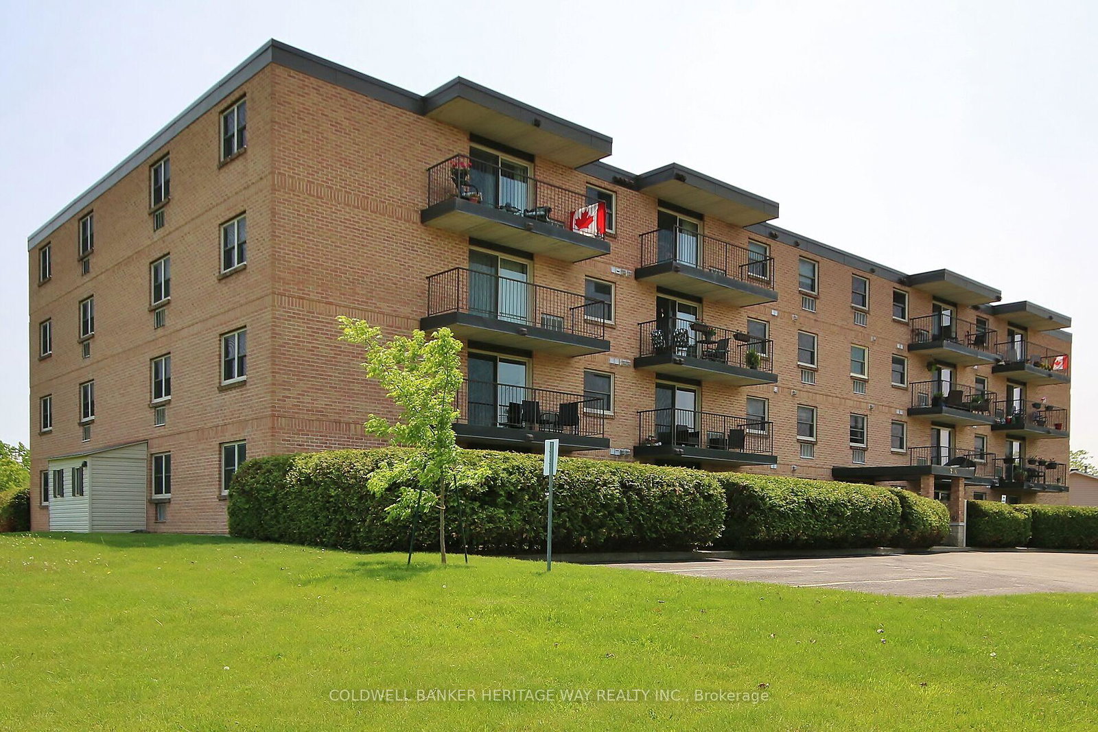 206-woodward-street-carleton-place-ontario-x12208872