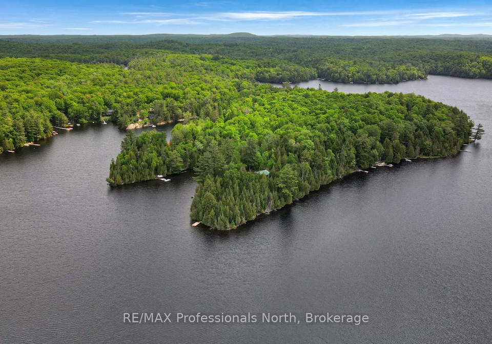 1028-coulson-lane-highlands-east-ontario-x12214815