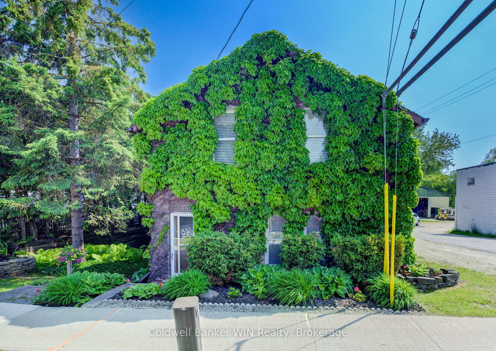 175-smith-street-wellington-north-ontario-x12214988