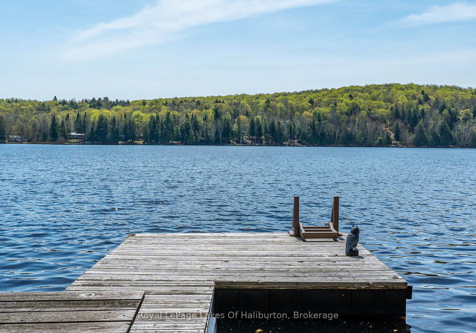 1248-portage-road-dysart-et-al-ontario-x12215977