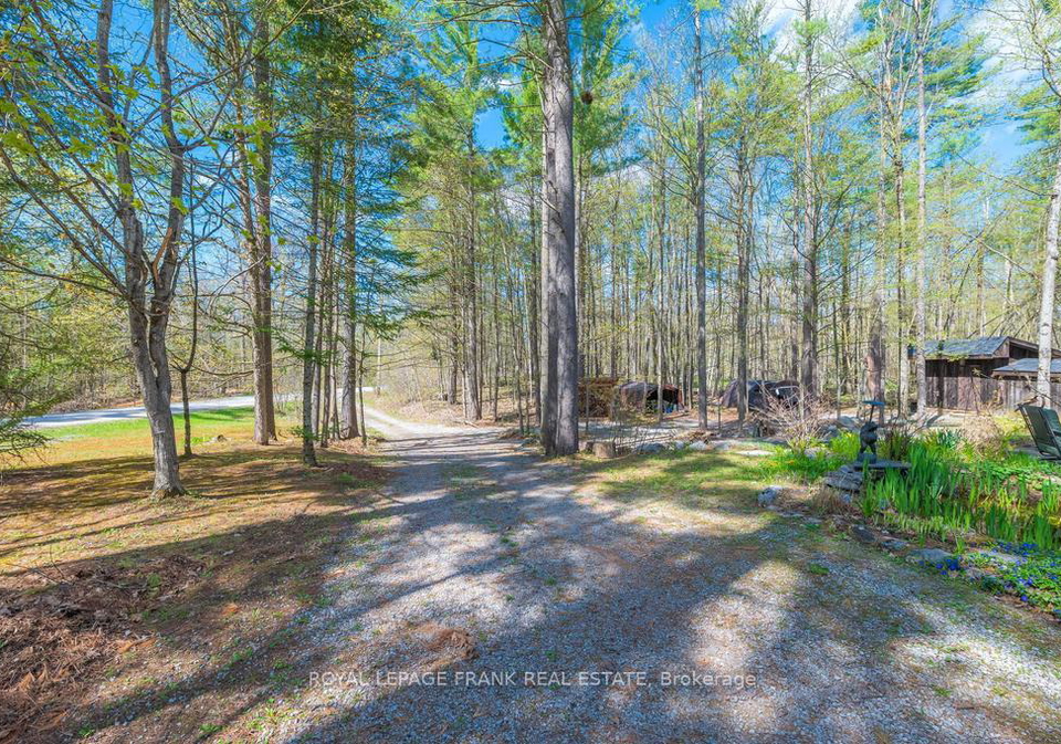 132-sugarbush-crescent-trent-lakes-ontario-x12218669