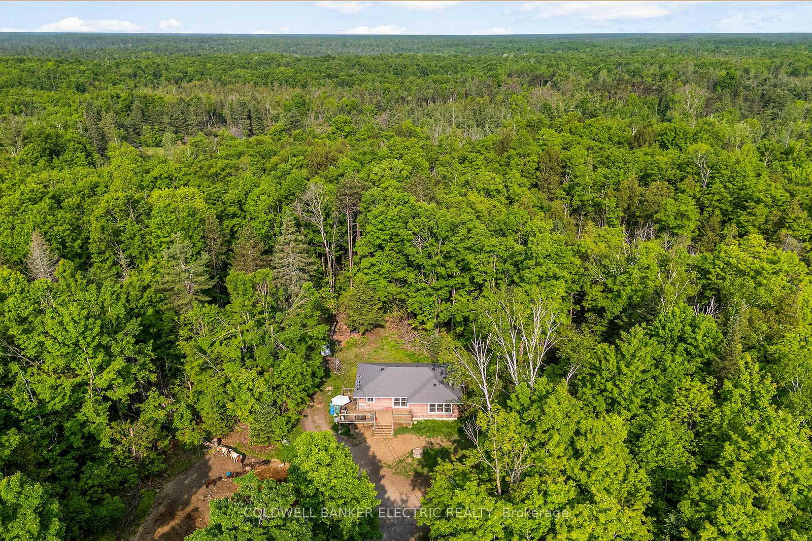 8248-county-road-46-havelock-belmont-methuen-ontario-x12219647