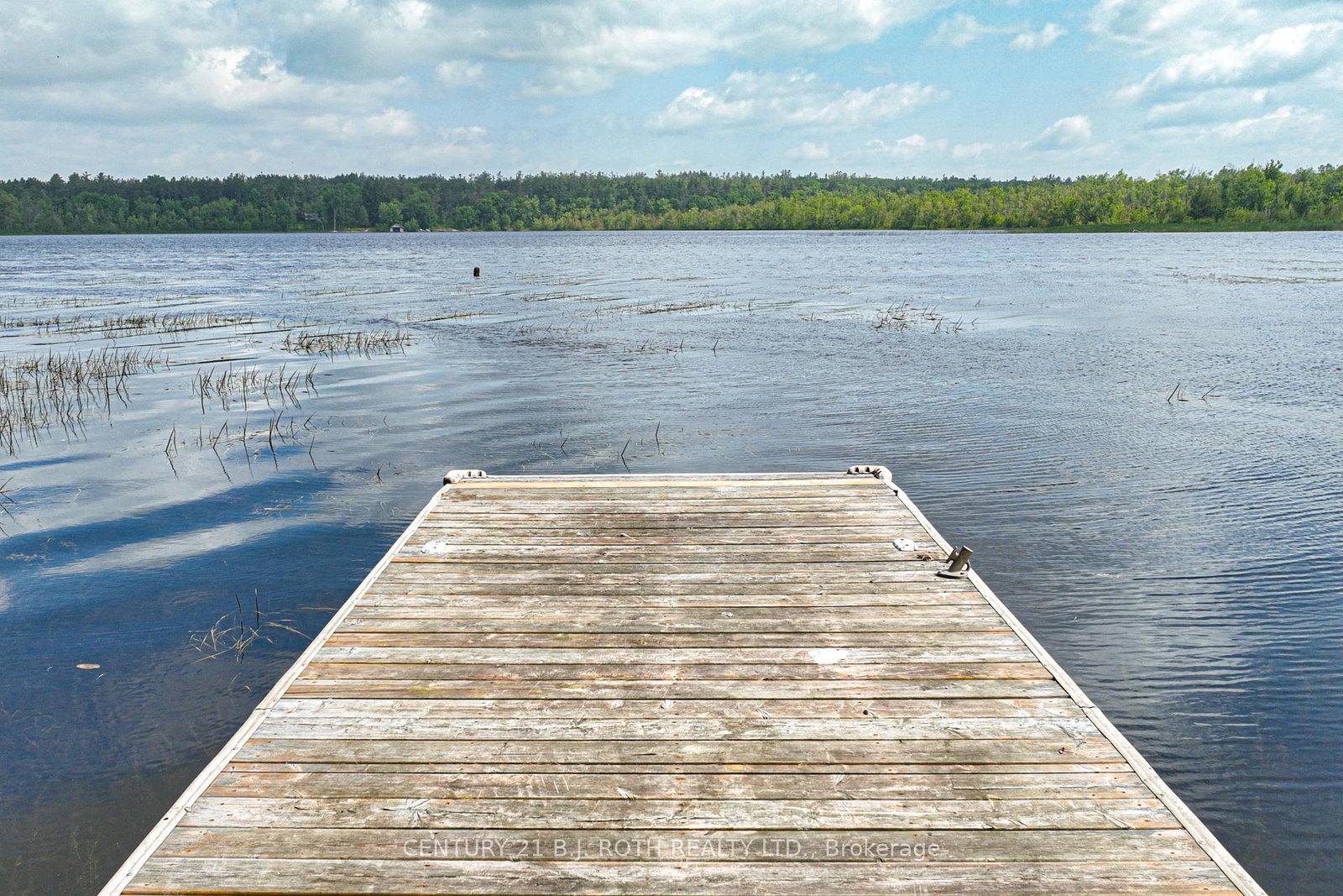 1007-1100-road-gravenhurst-ontario-x12222402