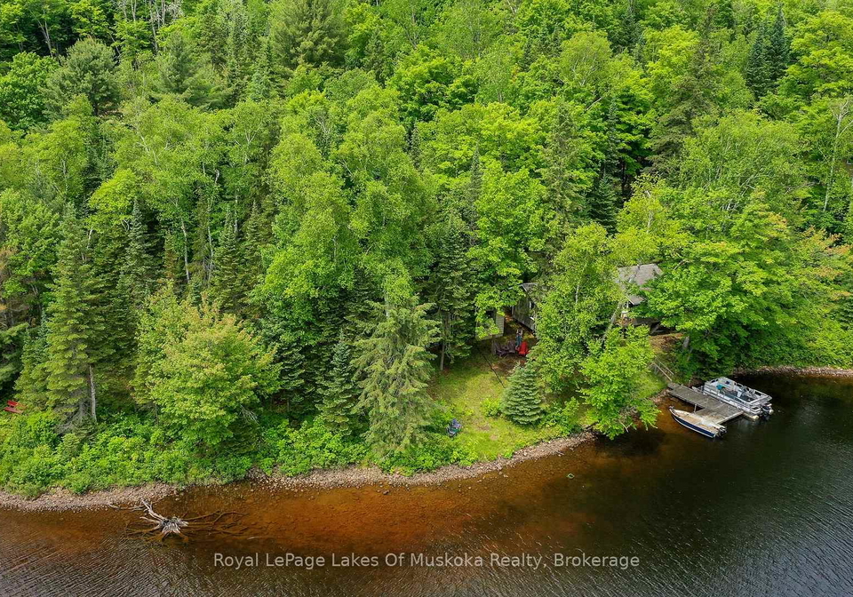119-sunken-island-lane-kearney-ontario-x12223192