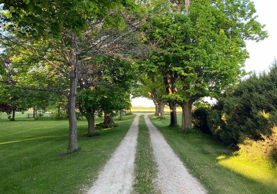 557472-mulmur-line-melancthon-ontario-x12224243