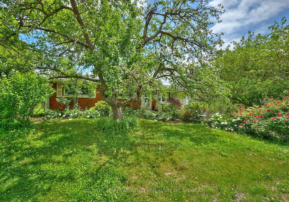 25-riverview-drive-welland-ontario-x12225313