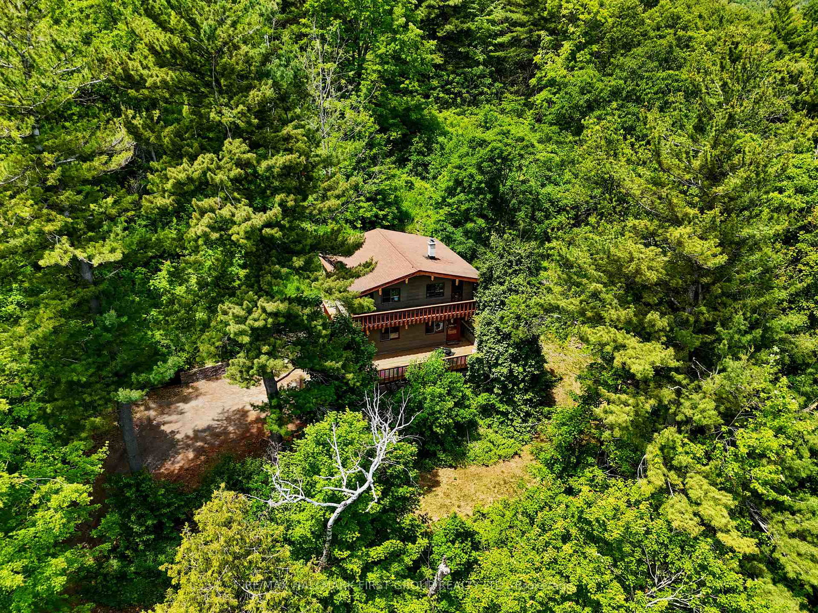 206-pinnacle-hill-road-alnwickhaldimand-ontario-x12227225