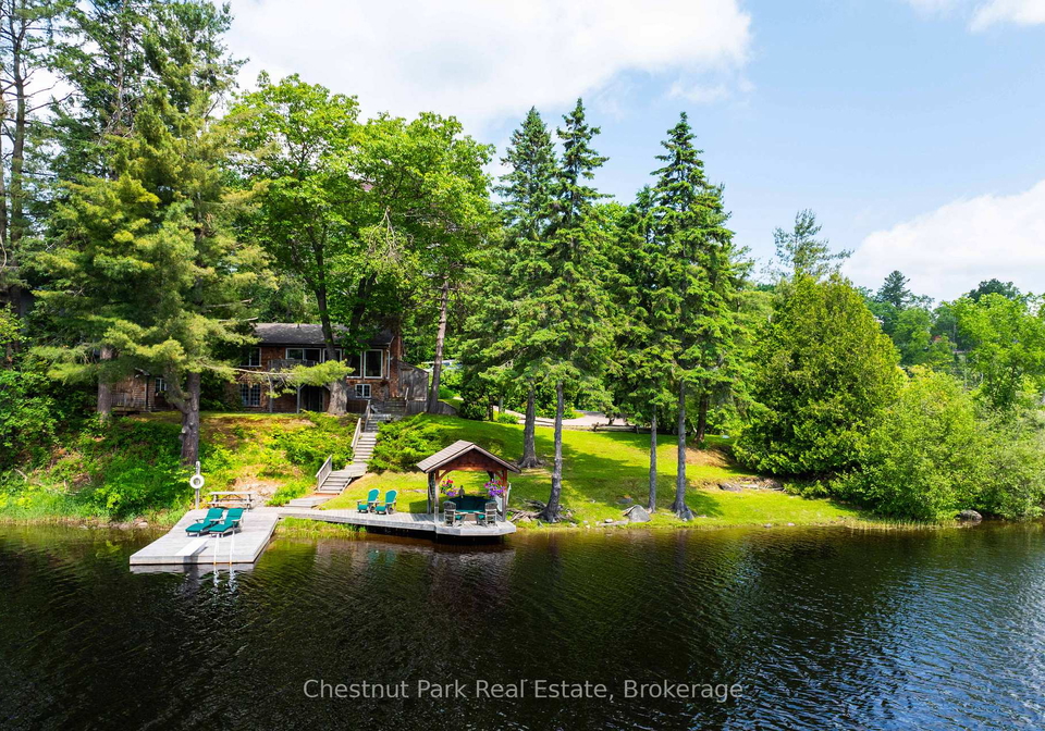 78-dill-street-bracebridge-ontario-x12228956