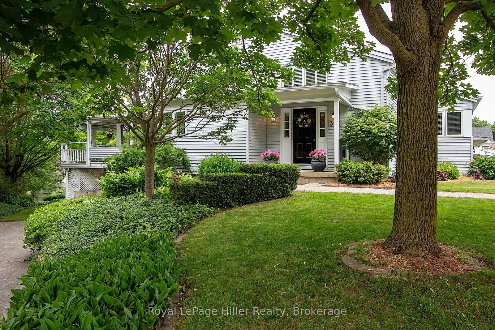 390-fairview-street-wilmot-ontario-x12230276