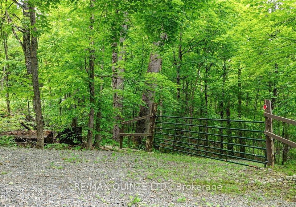6798-old-hastings-road-tudor-cashel-ontario-x12230666