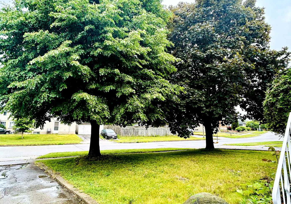 59-winter-avenue-cambridge-ontario-x12231239