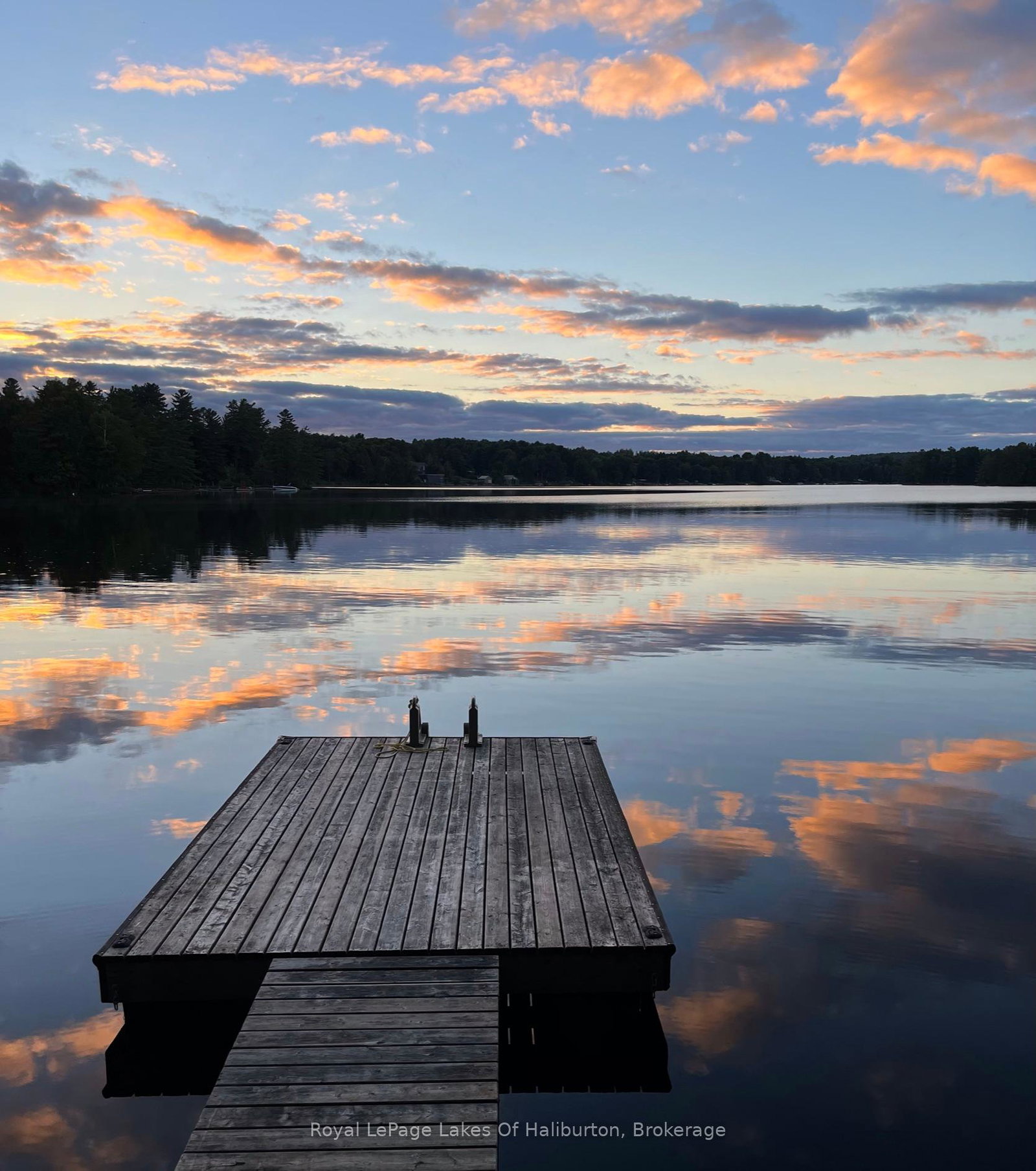 1358-kushog-lake-road-algonquin-highlands-ontario-x12232114